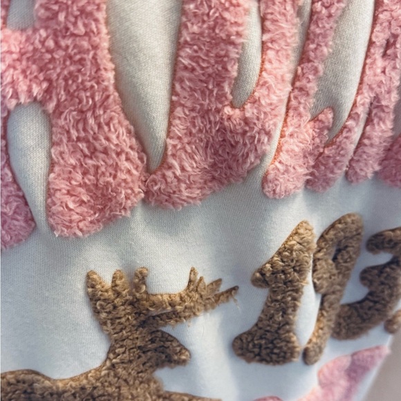 Pink and Brown Graphic Sweatshirt - Picture 3 of 9